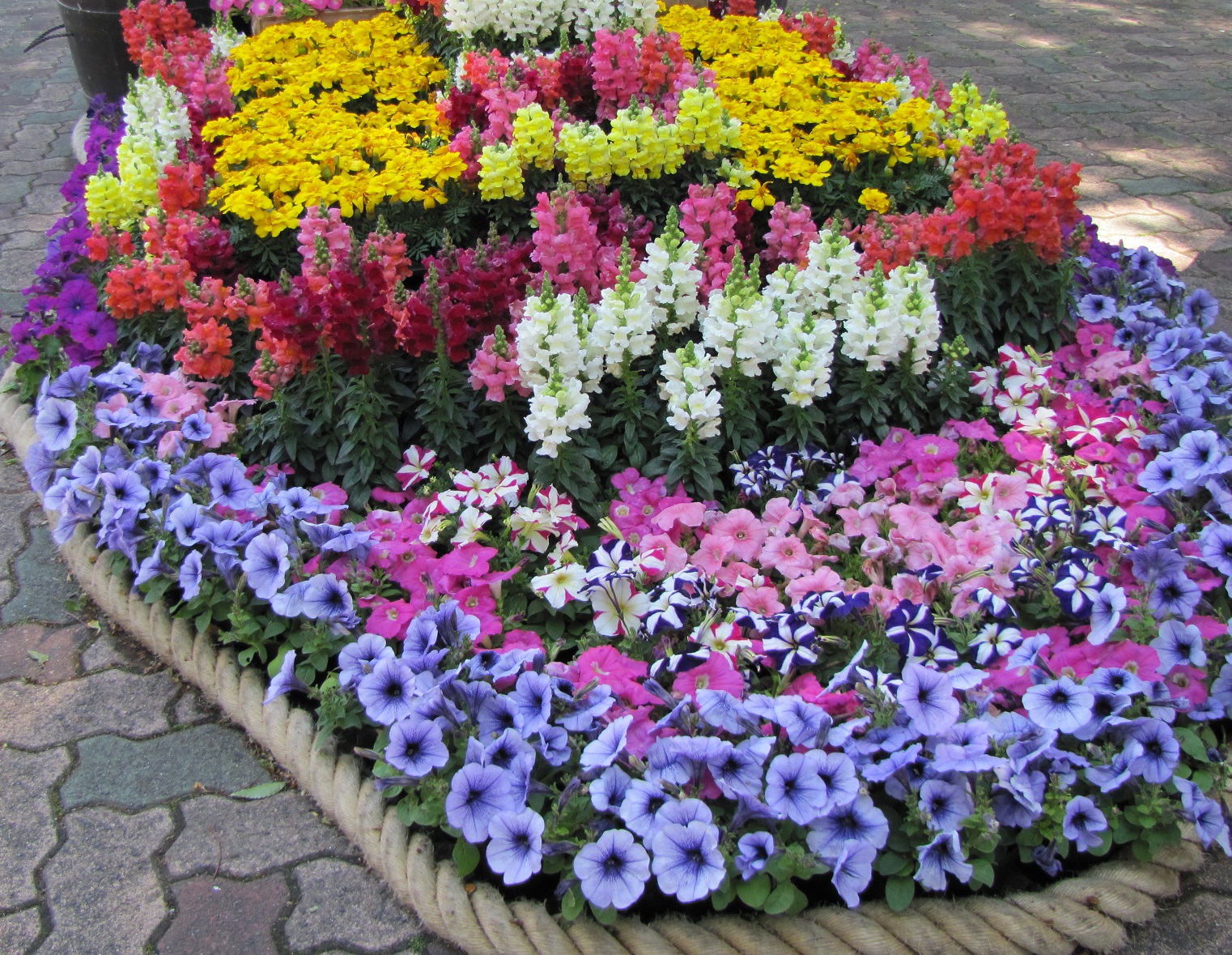 川口市立グリーンセンターの特設花壇