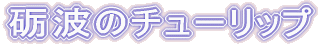 砺波のチューリップ